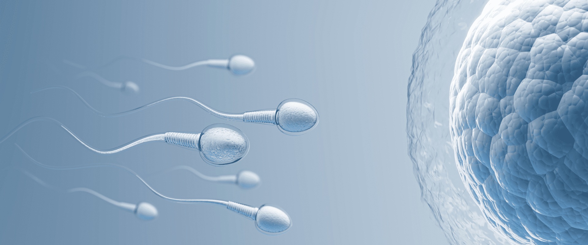 Can you produce sperm while on testosterone?