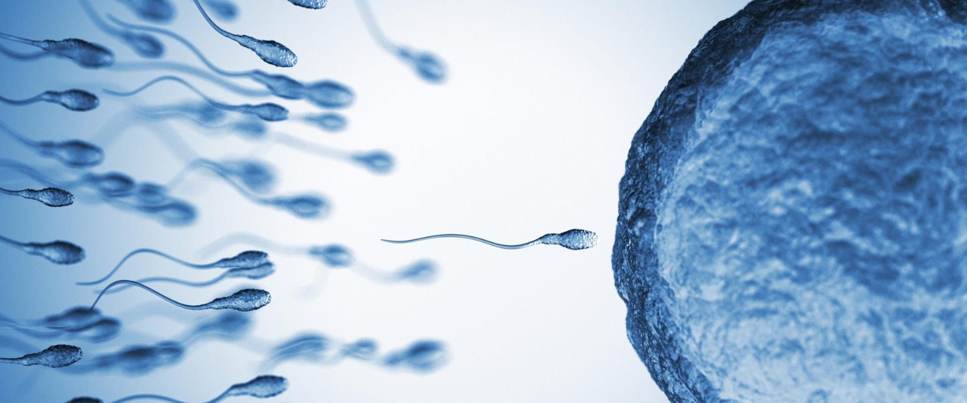 How long does testosterone take to go back to normal?