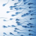 How long does testosterone take to go back to normal?