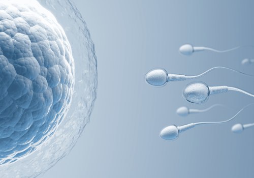 Can you produce sperm while on testosterone?