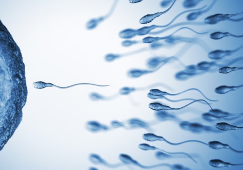 How long does testosterone take to go back to normal?